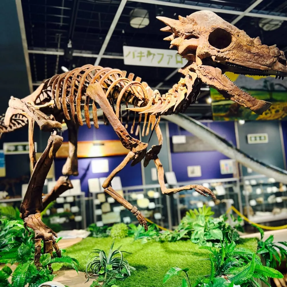 「月光天文台」展示１