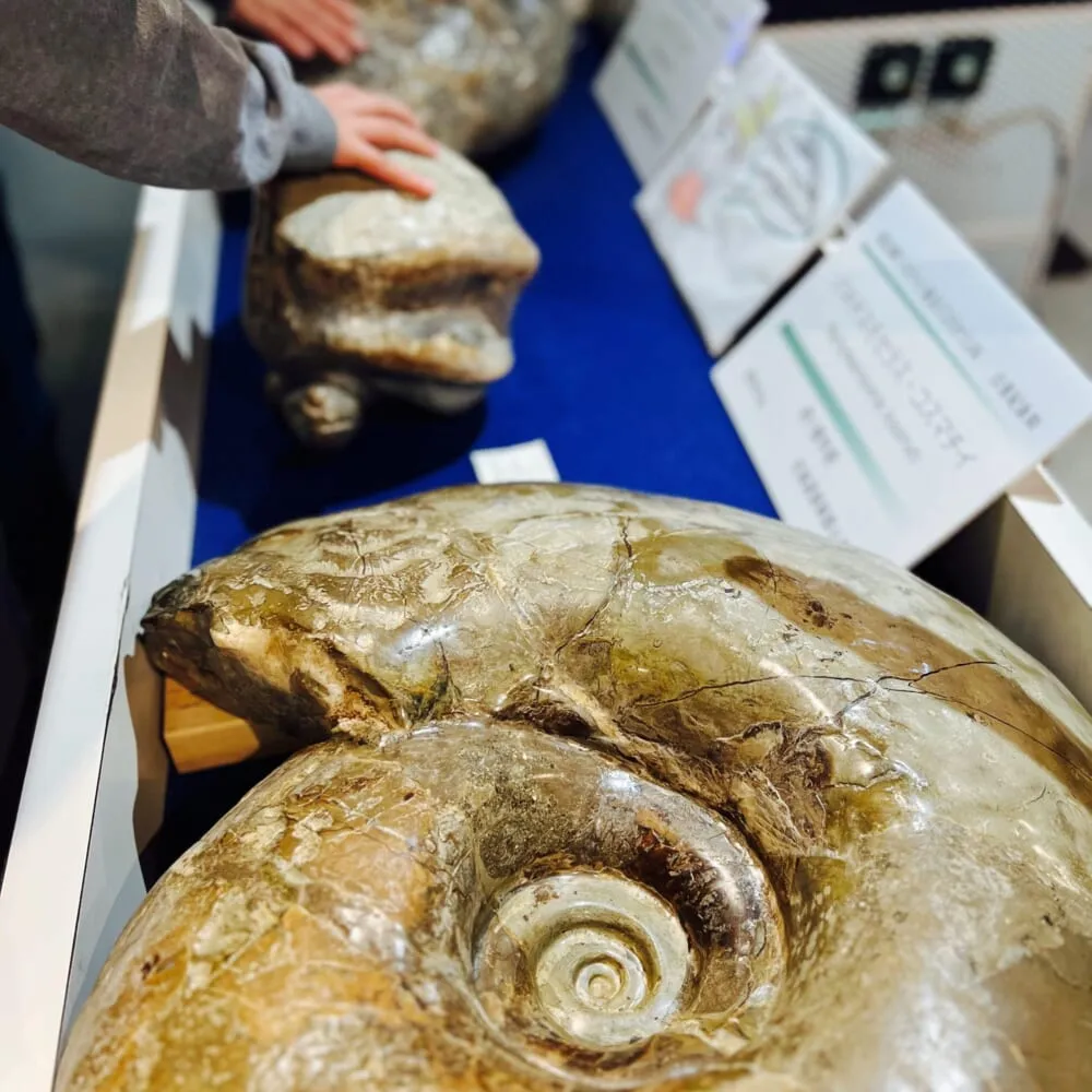 「月光天文台」展示２