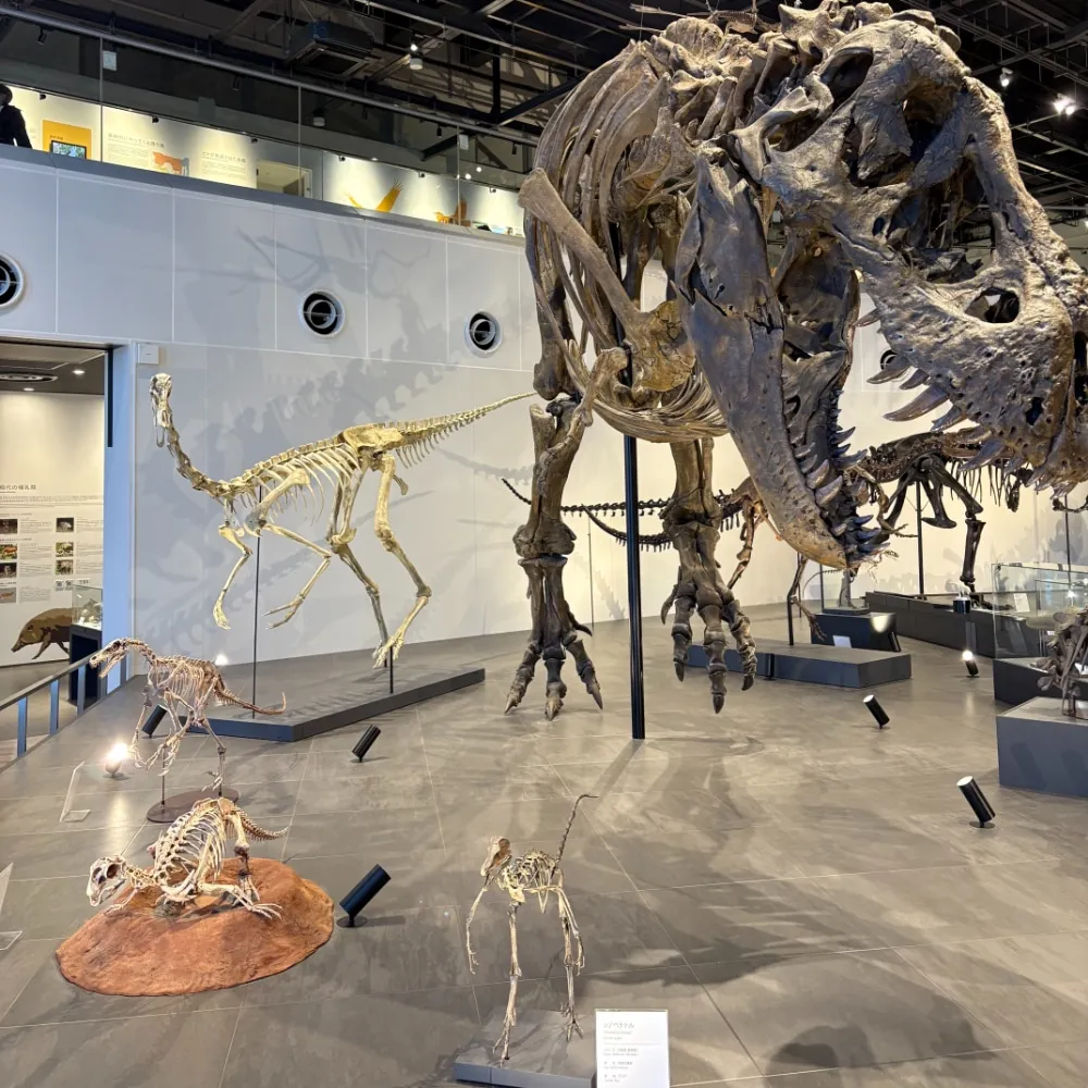 「ベネックス恐竜博物館」展示１