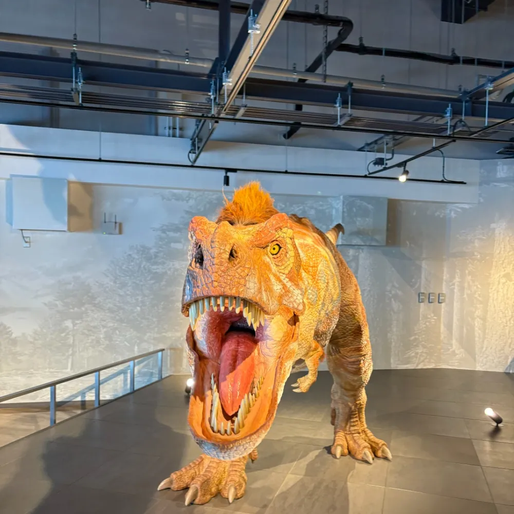 「ベネックス恐竜博物館」展示２