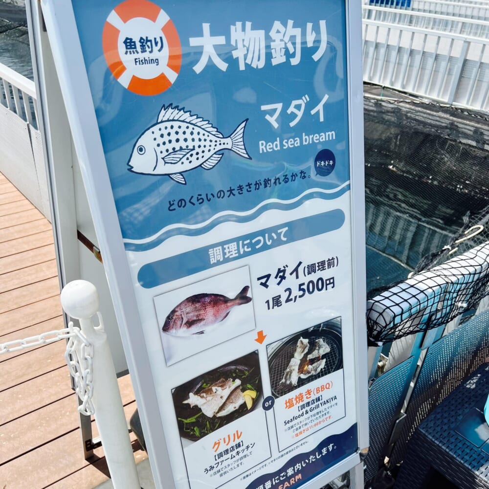 マダイ  神奈川　横浜　八景島シーパラダイス　うみファーム