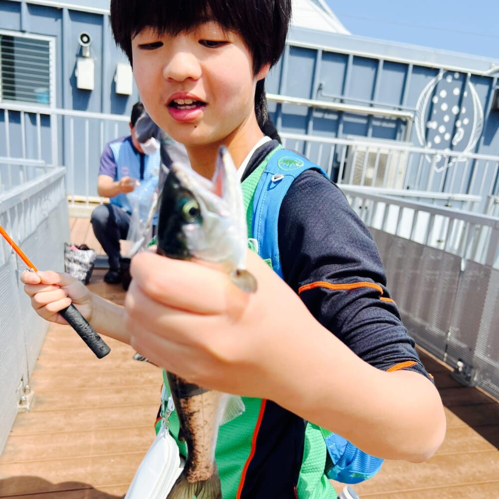 横浜　八景島シーパラダイス　うみファーム