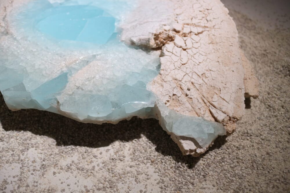 神奈川県　ポーラ美術館