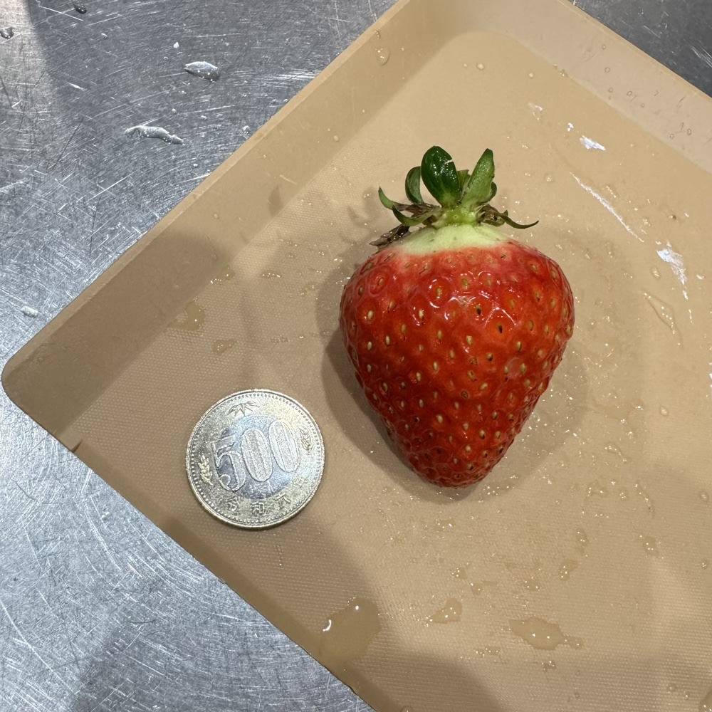 福王　イチゴ　特大