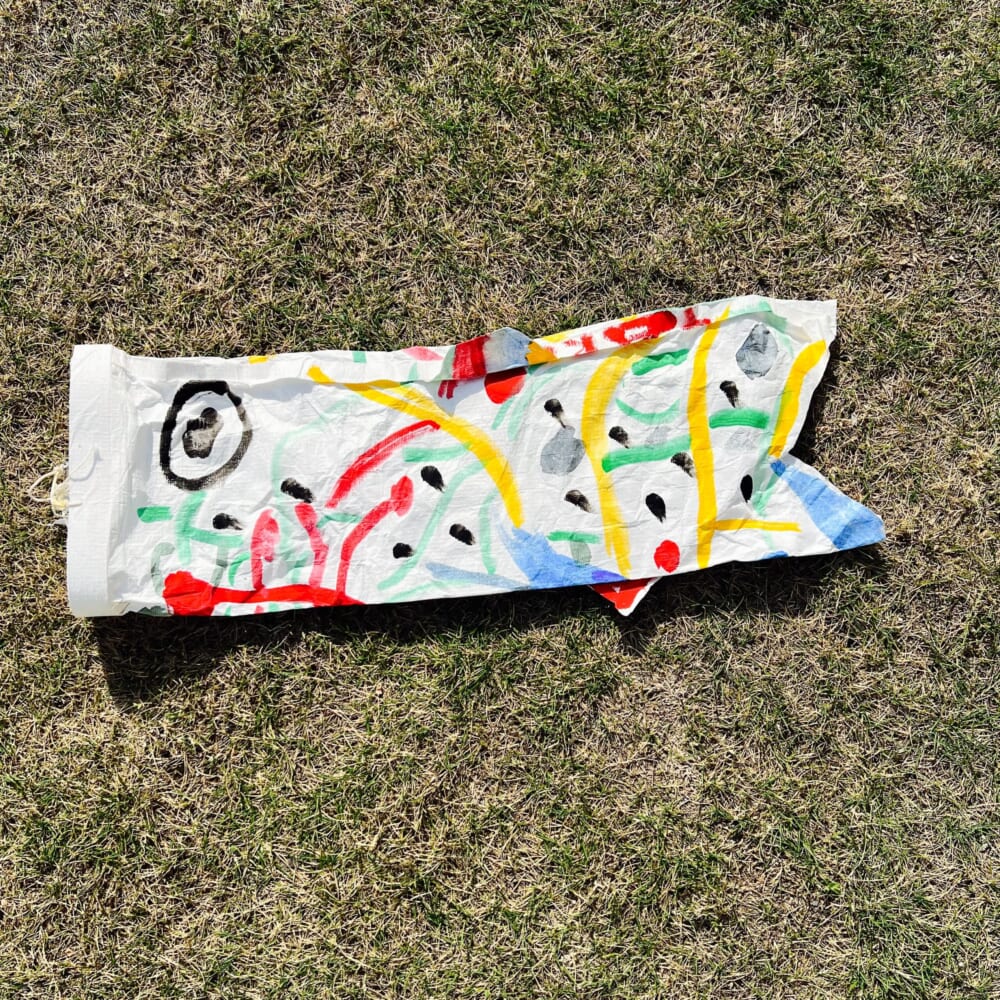 TARO鯉 鯉のぼり TARO鯉に挑む！ 岡本太郎美術館