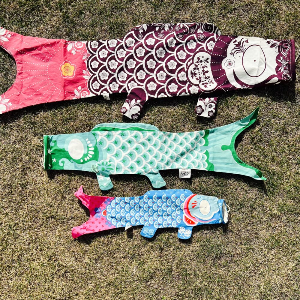 こどもの日 マダムモー TARO鯉 鯉のぼり