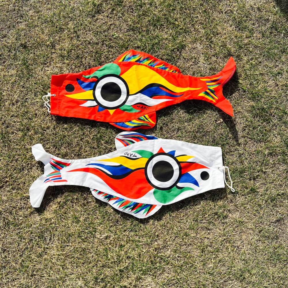 TARO鯉 こどもの日 鯉のぼり