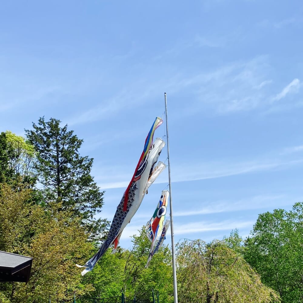 TARO鯉 鯉のぼり