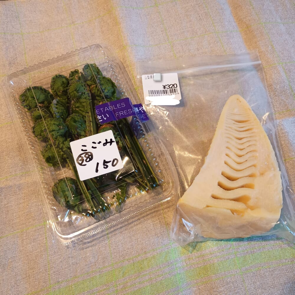 山菜 こごみ たけのこ