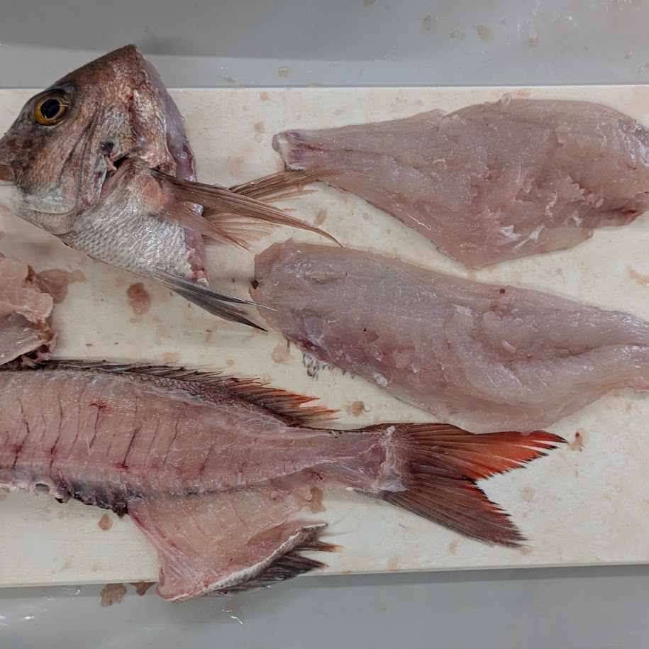 鯛3枚卸　コポ　料理教室