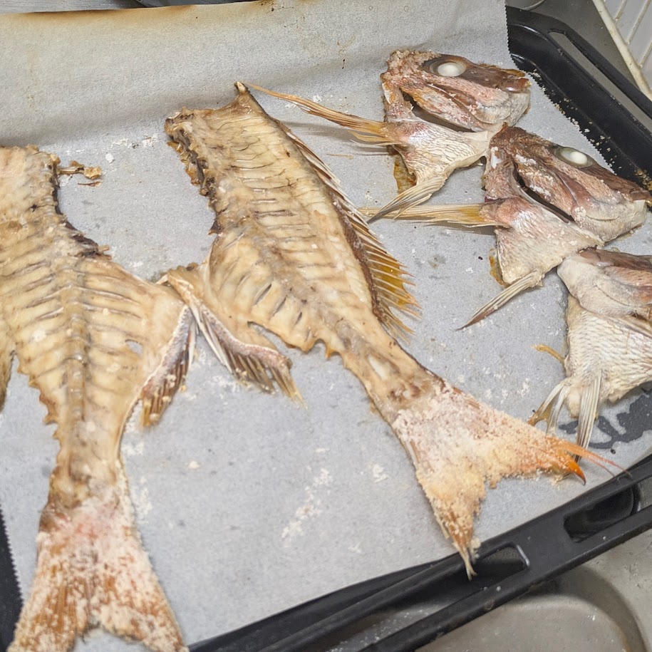 料理部　鯛　コポ