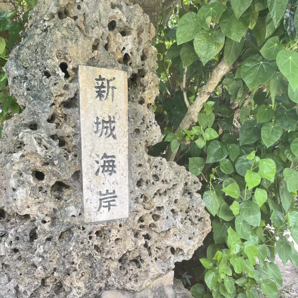 宮古島　ウミガメ　カヤック