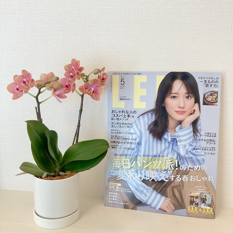LEE5月号　蘭の花