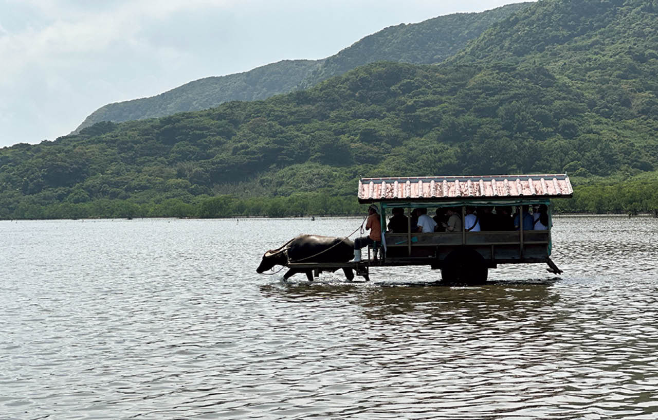 2泊3日で石垣島と西表島へ