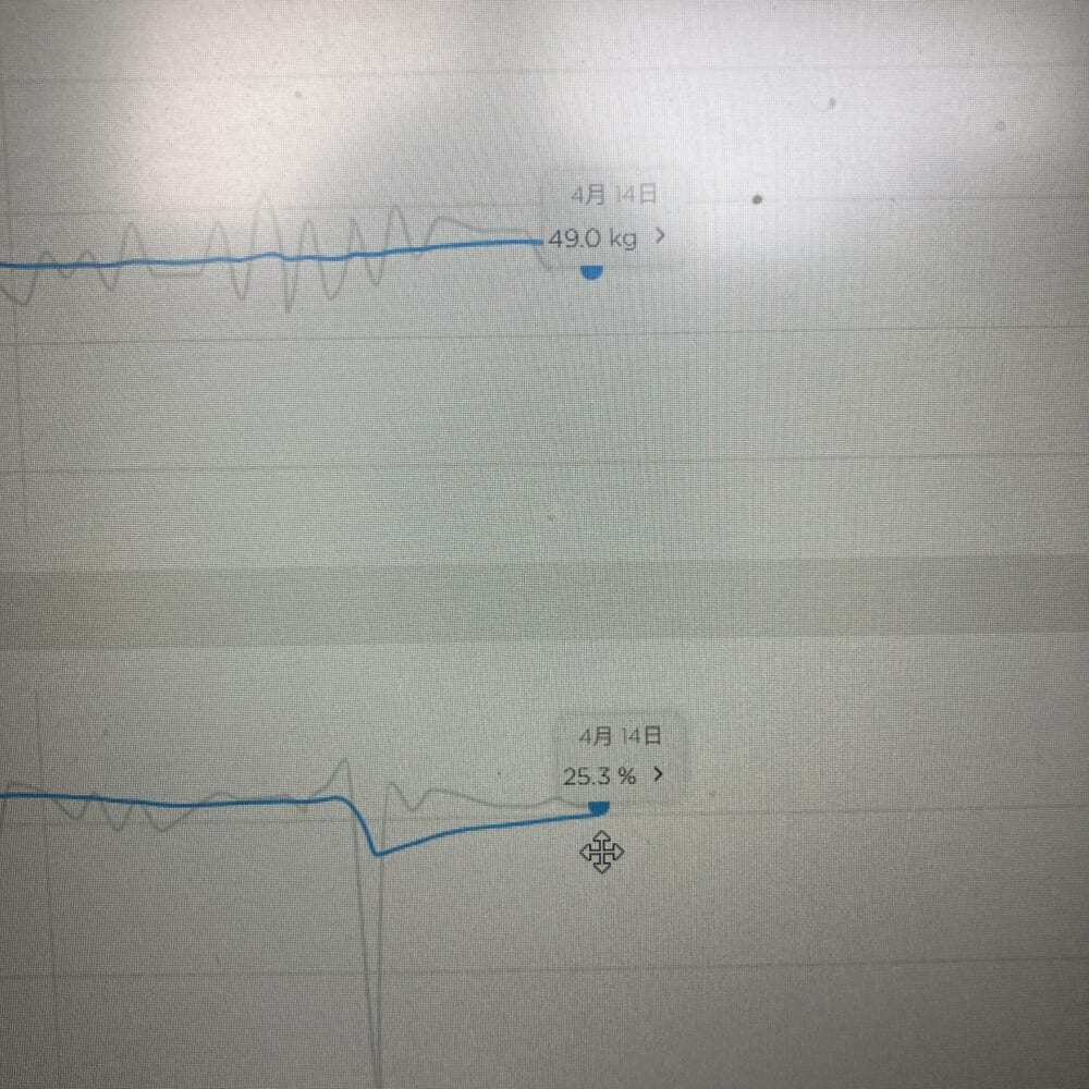ダイエット　体重　体脂肪率