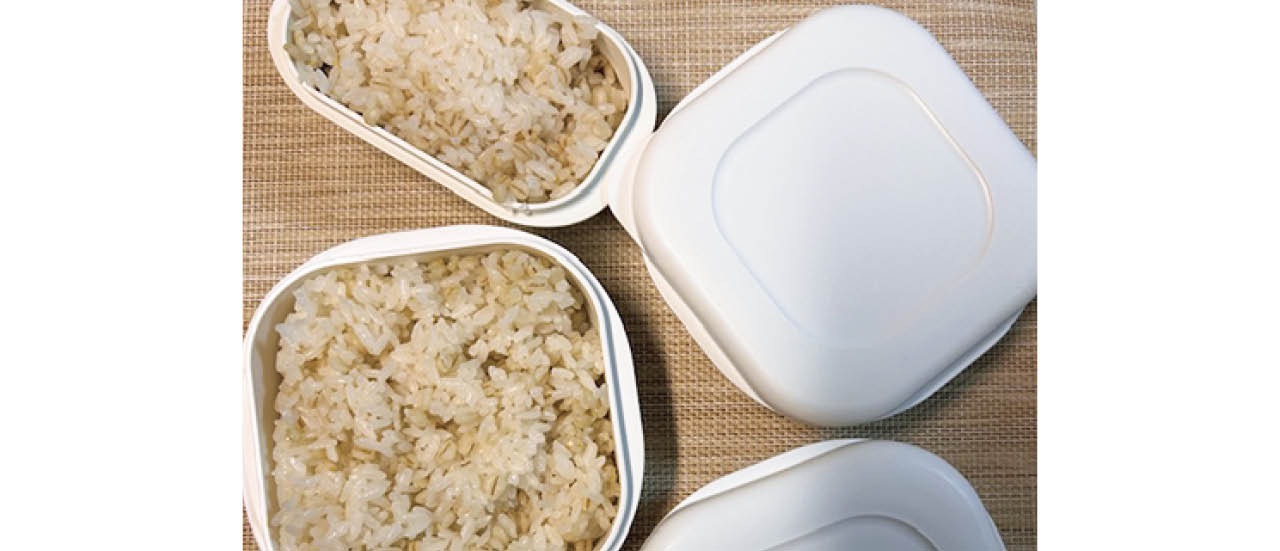 No.022 だみこさん（「極 冷凍ごはん容器」）