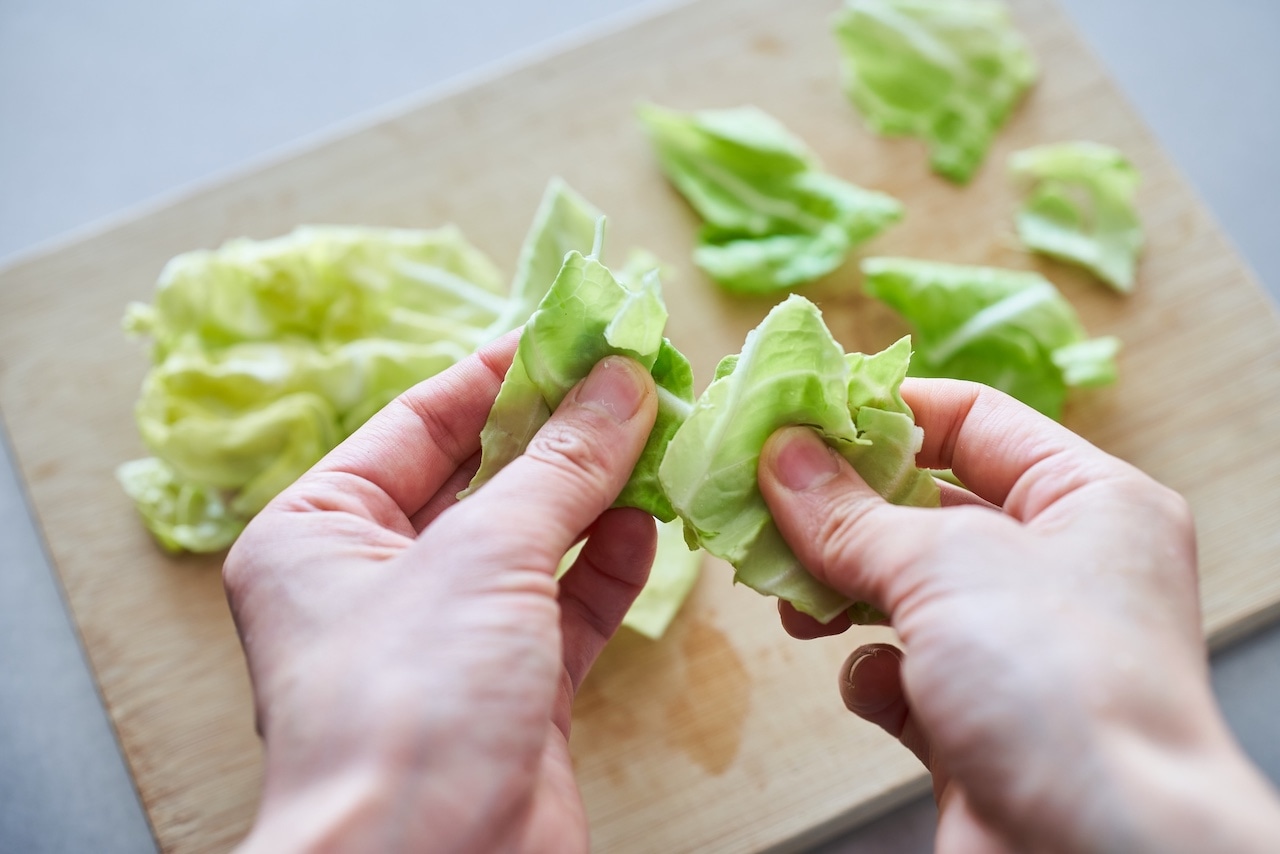 榎本美沙さん　春キャベツとあさりの酒蒸し