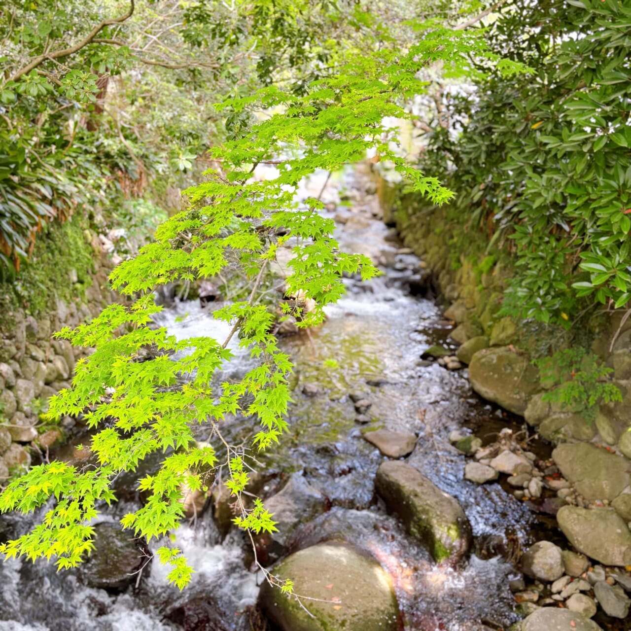 ふふ熱海　1泊2日熱海旅行　ふふエントランス