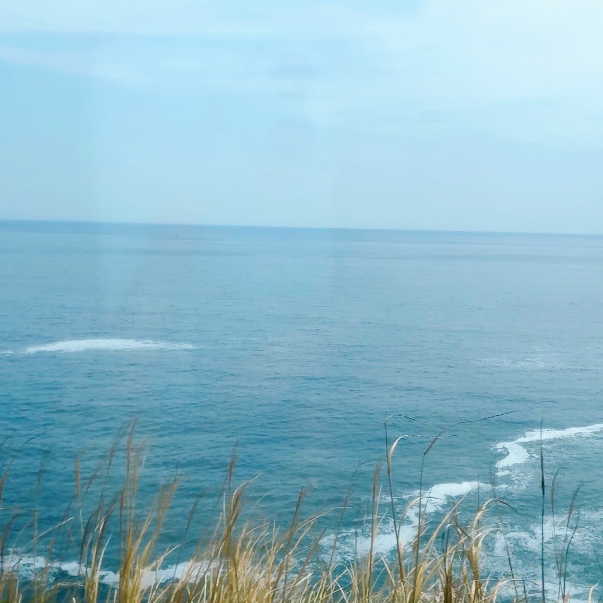 踊り子号　東京駅　熱海駅