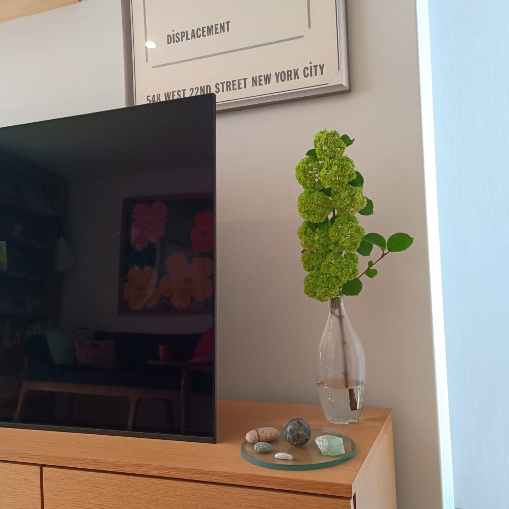 ガーデニング　庭木　オオデマリ3