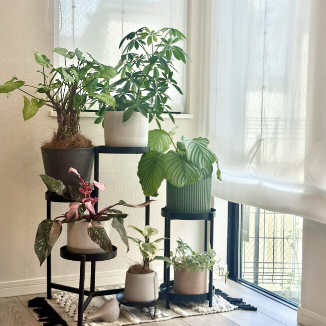 IKEA(イケア）のOLIVBLAD/オリヴブラード