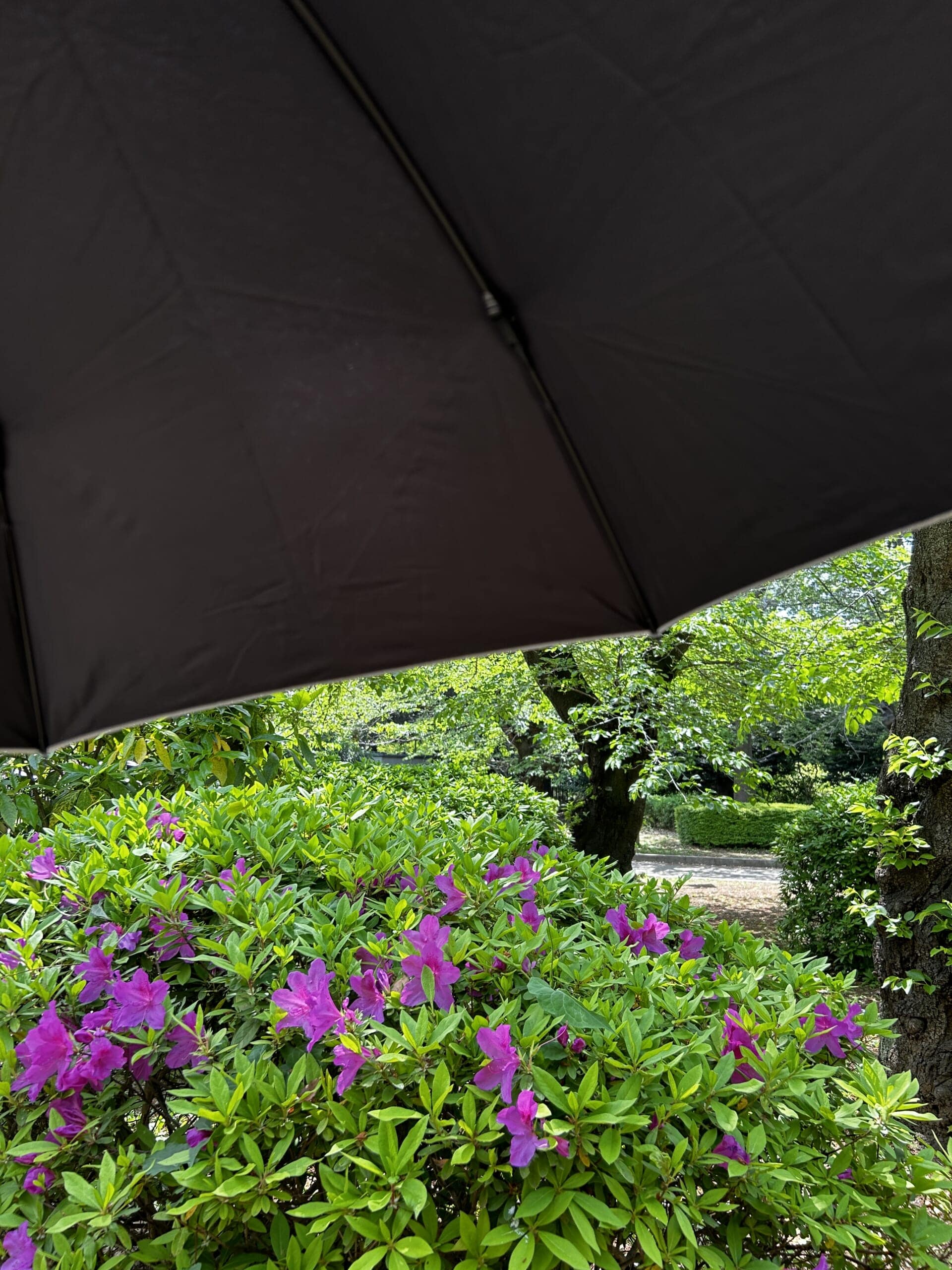 モンベルの日傘サンブロックアンブレラ55をお試し