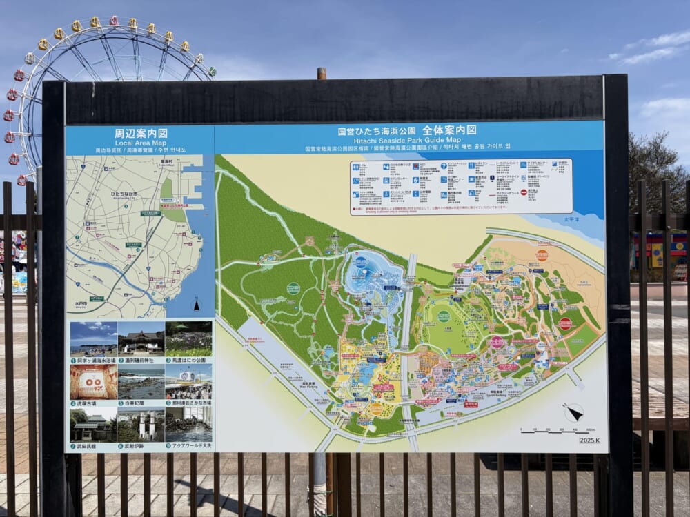 茨城　ひたち海浜公園　