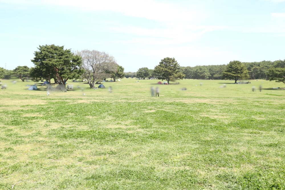 茨城　ひたち海浜公園　