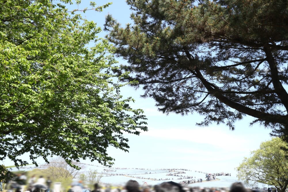 茨城　ひたち海浜公園　