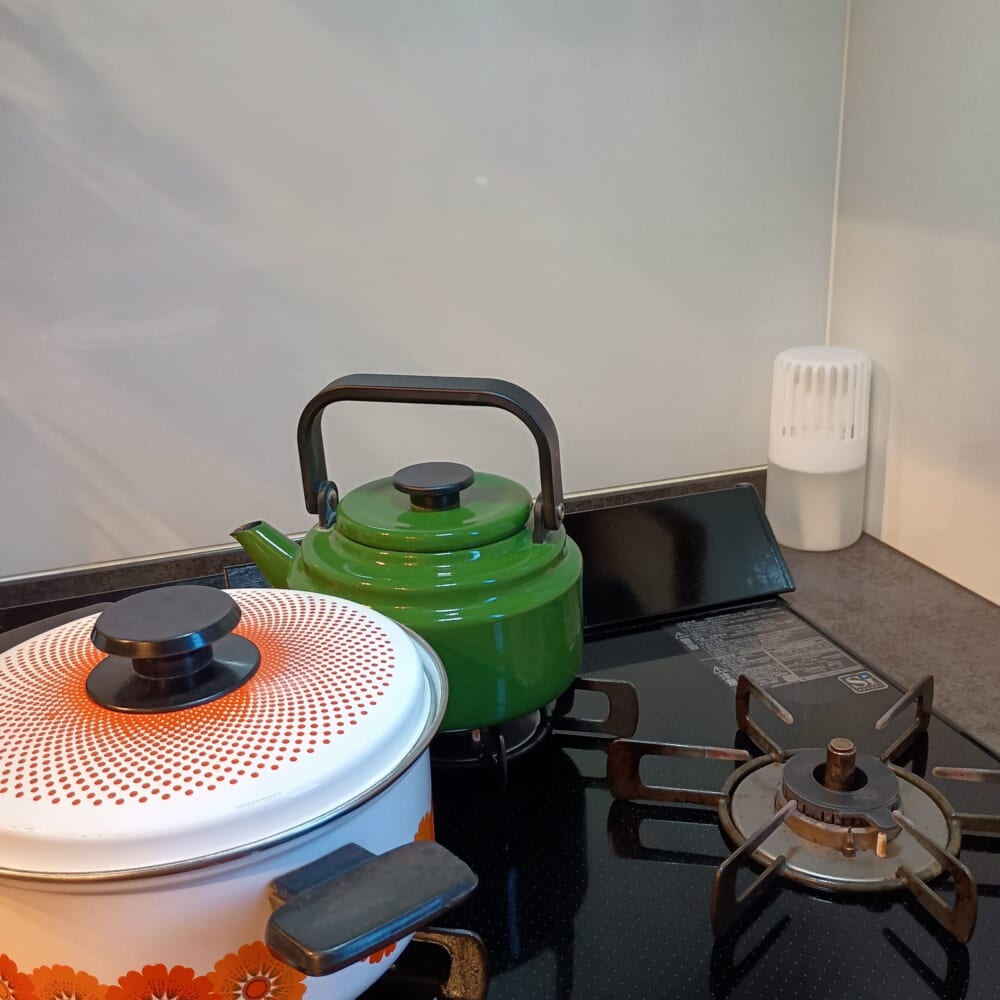 LEE５月号　レビュー　日用品　消臭元　ZERO　5