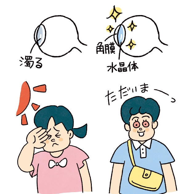結論シリーズ デイリーエリートカーデ ベージュ　試着のみ 結論シリーズ】着映えカーディガンをgreen label relaxingで購入 | LEE