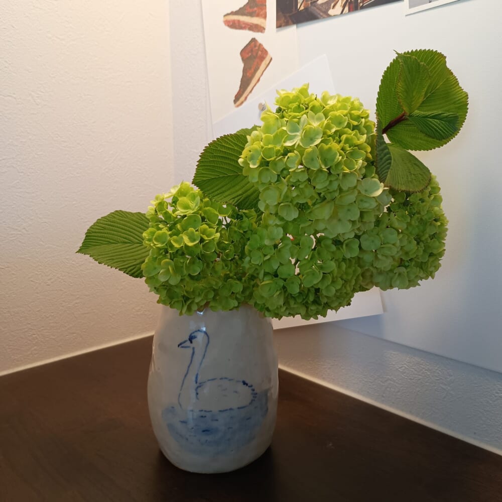 ガーデニング　庭木　オオデマリ4