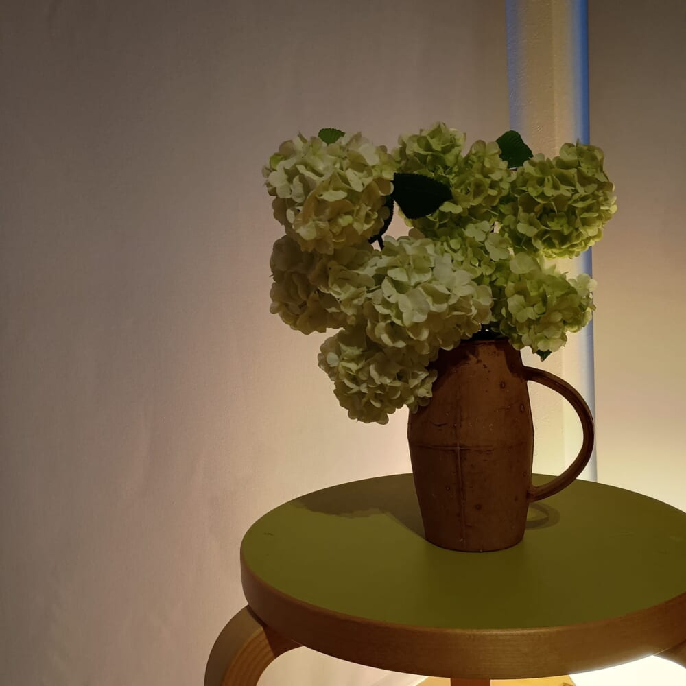 ガーデニング　庭木　オオデマリ7