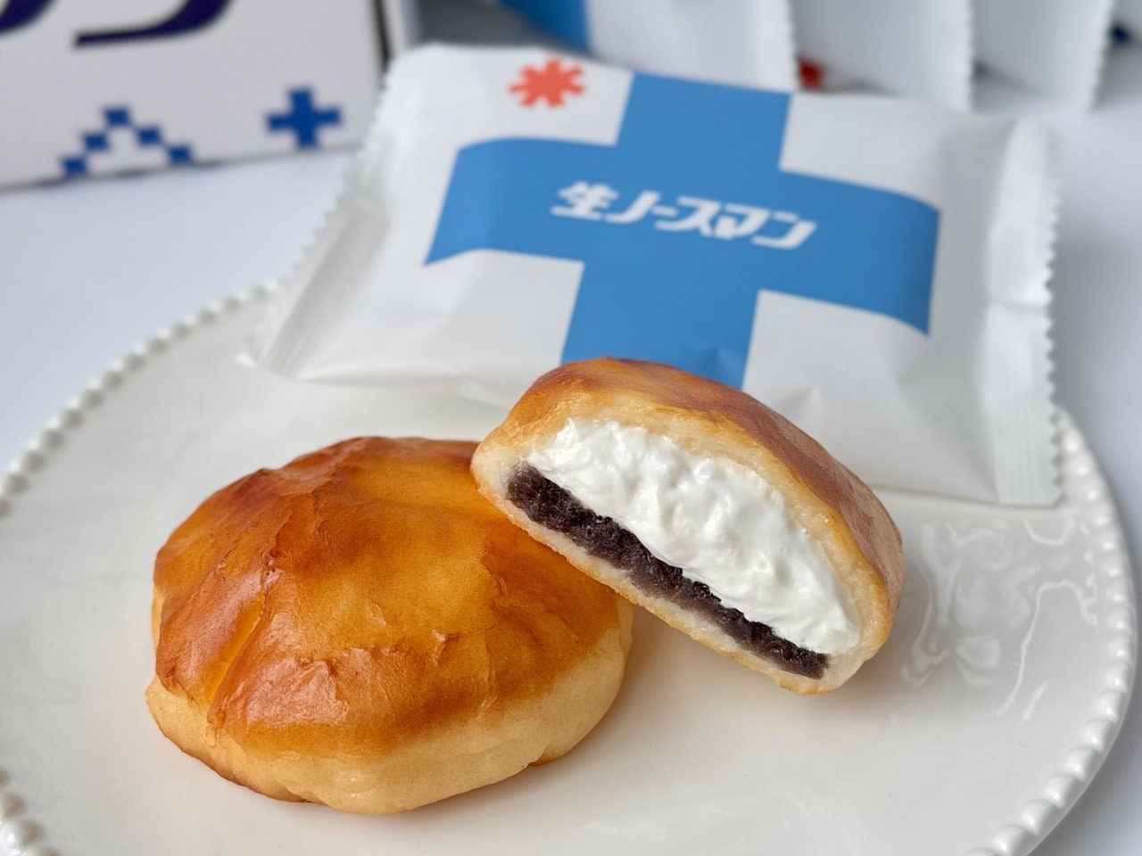 生ノースマン断面