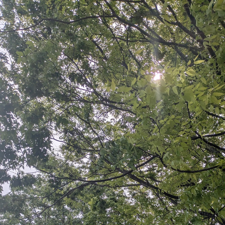 公園　LEE100人隊　コポ