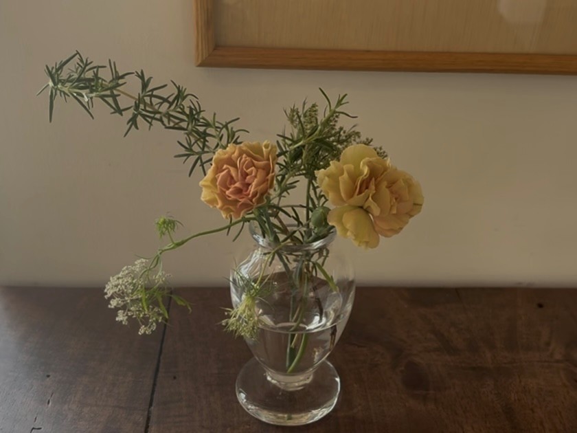 丹波篠山　植物屋　retes