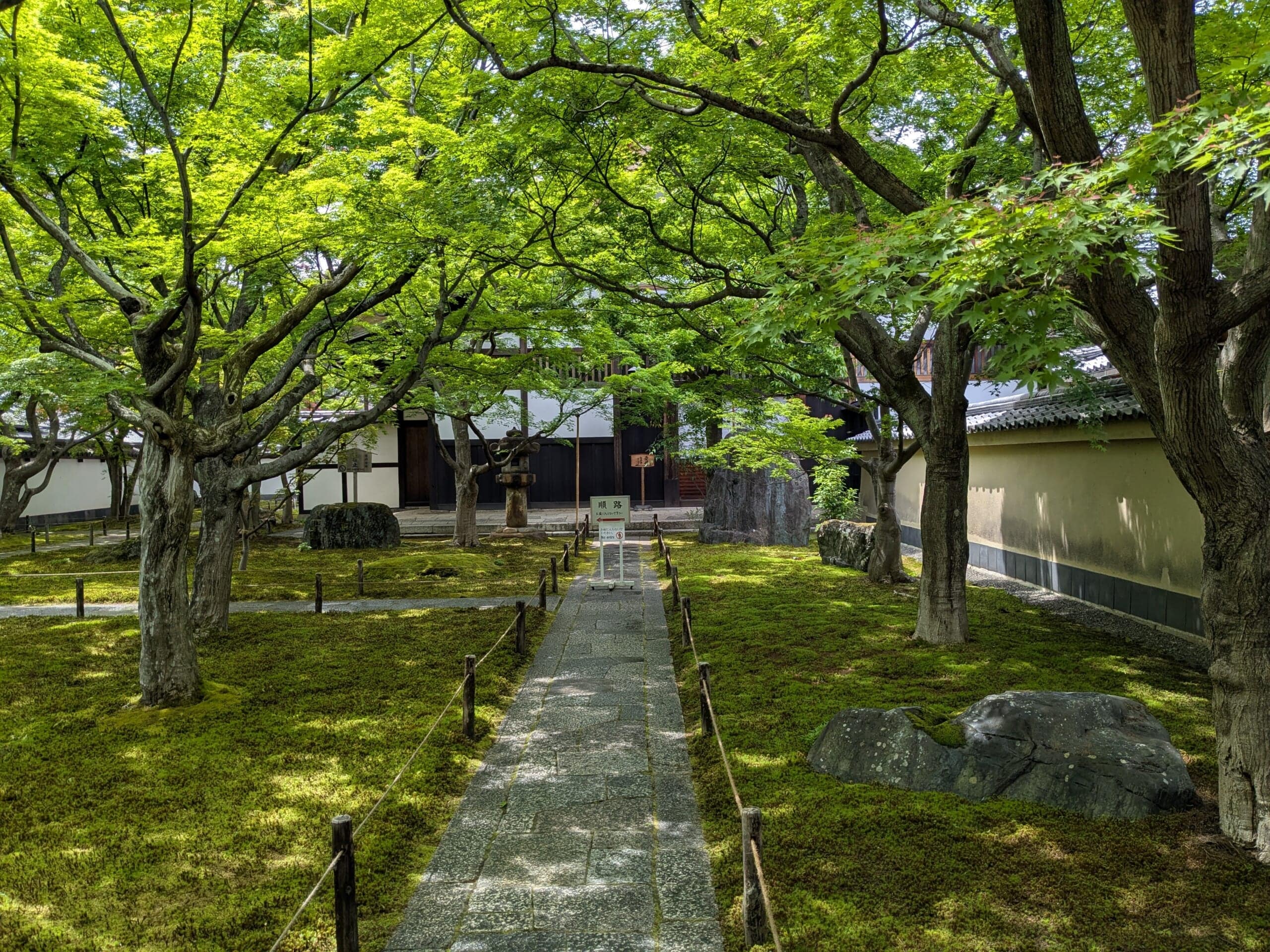 大徳寺　黄梅院