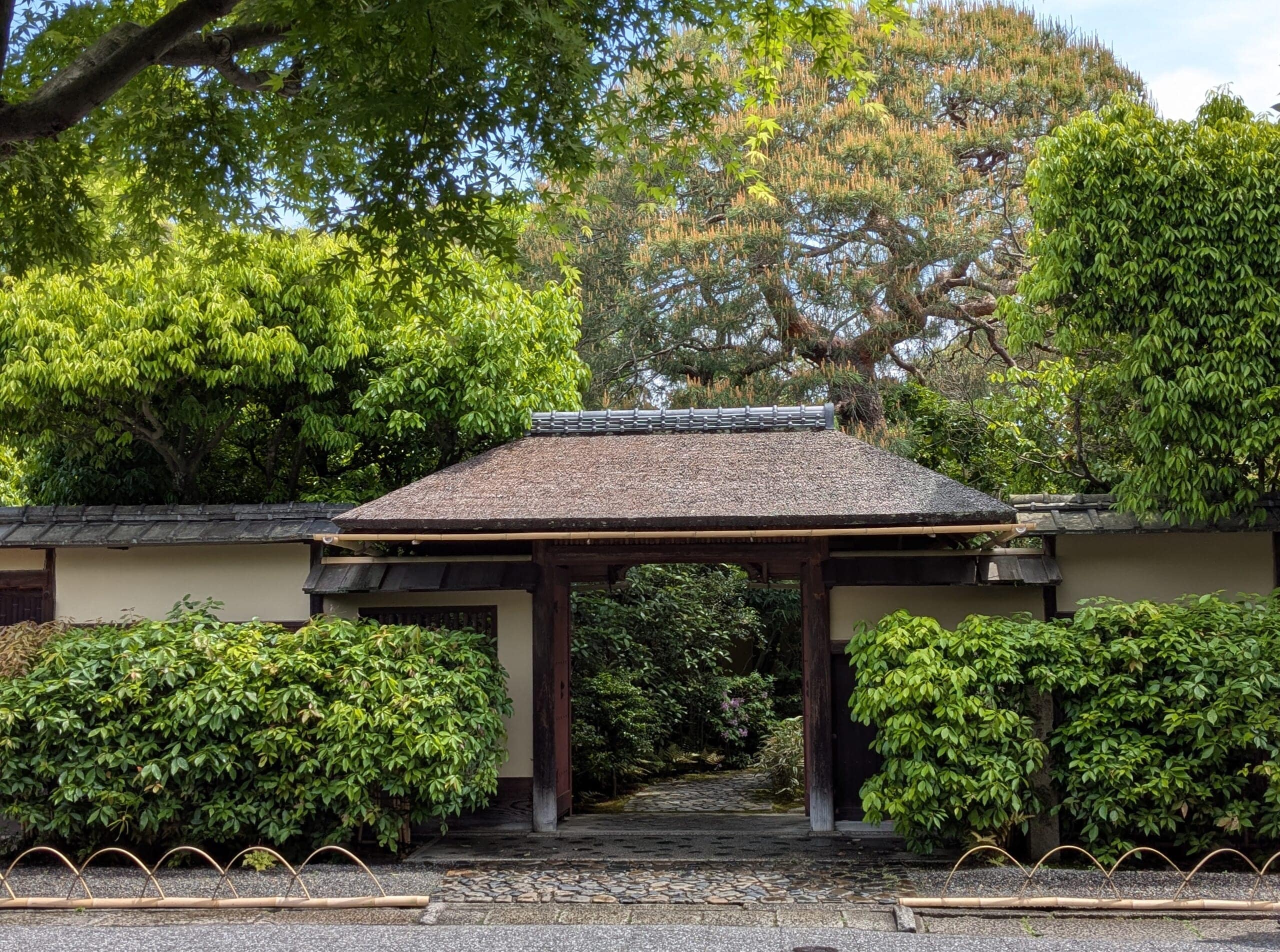 裏千家　今日庵　兜門