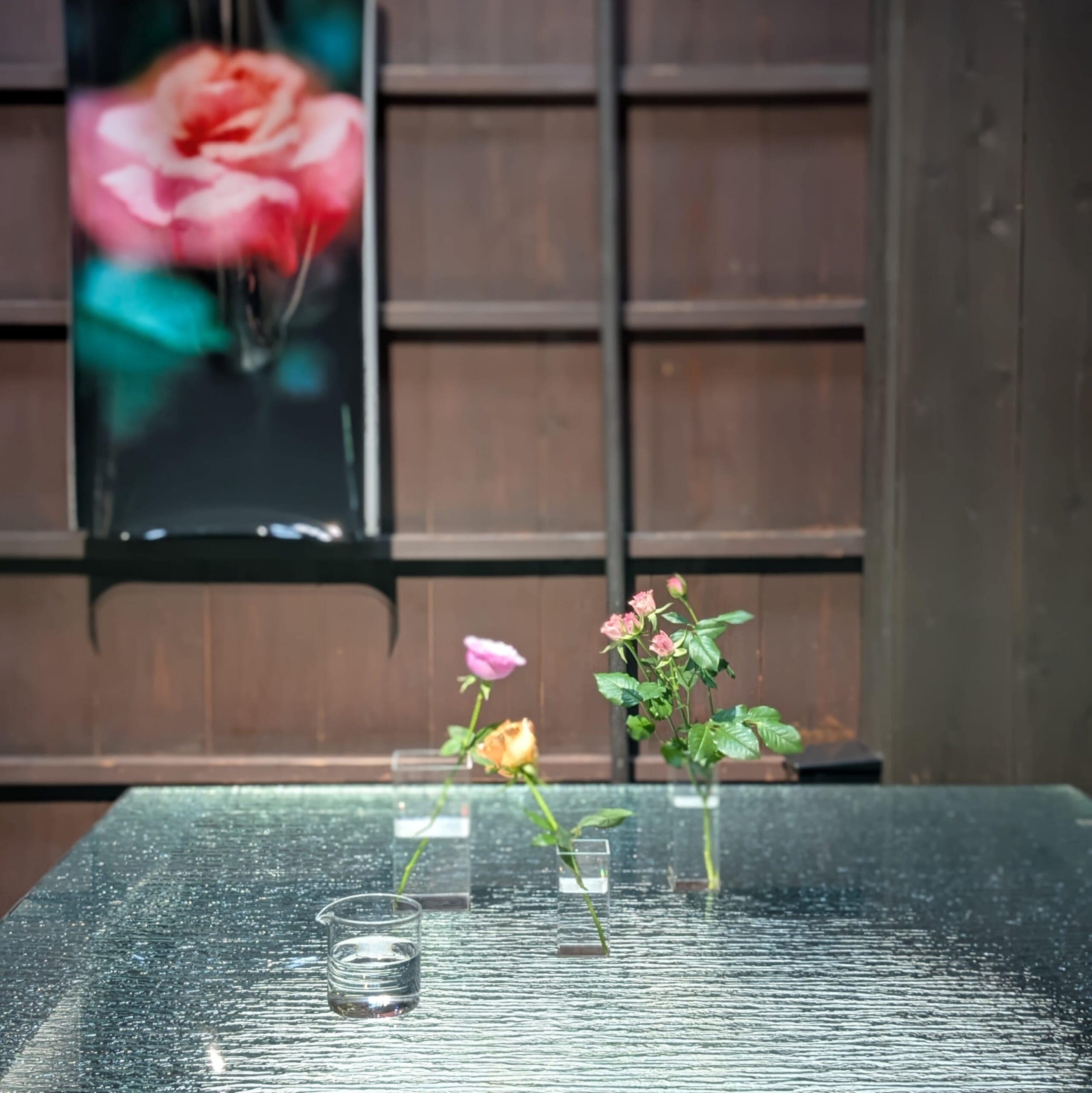 写真家 大矢真梨子さんの個展「Inner Garden」