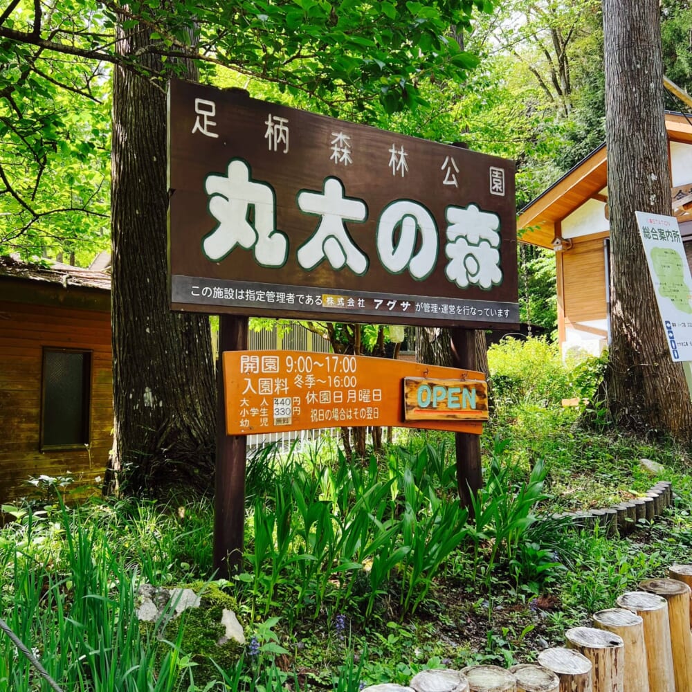 神奈川県南足柄市　丸太の森　バーベキュー場　BBQ　ピザ窯