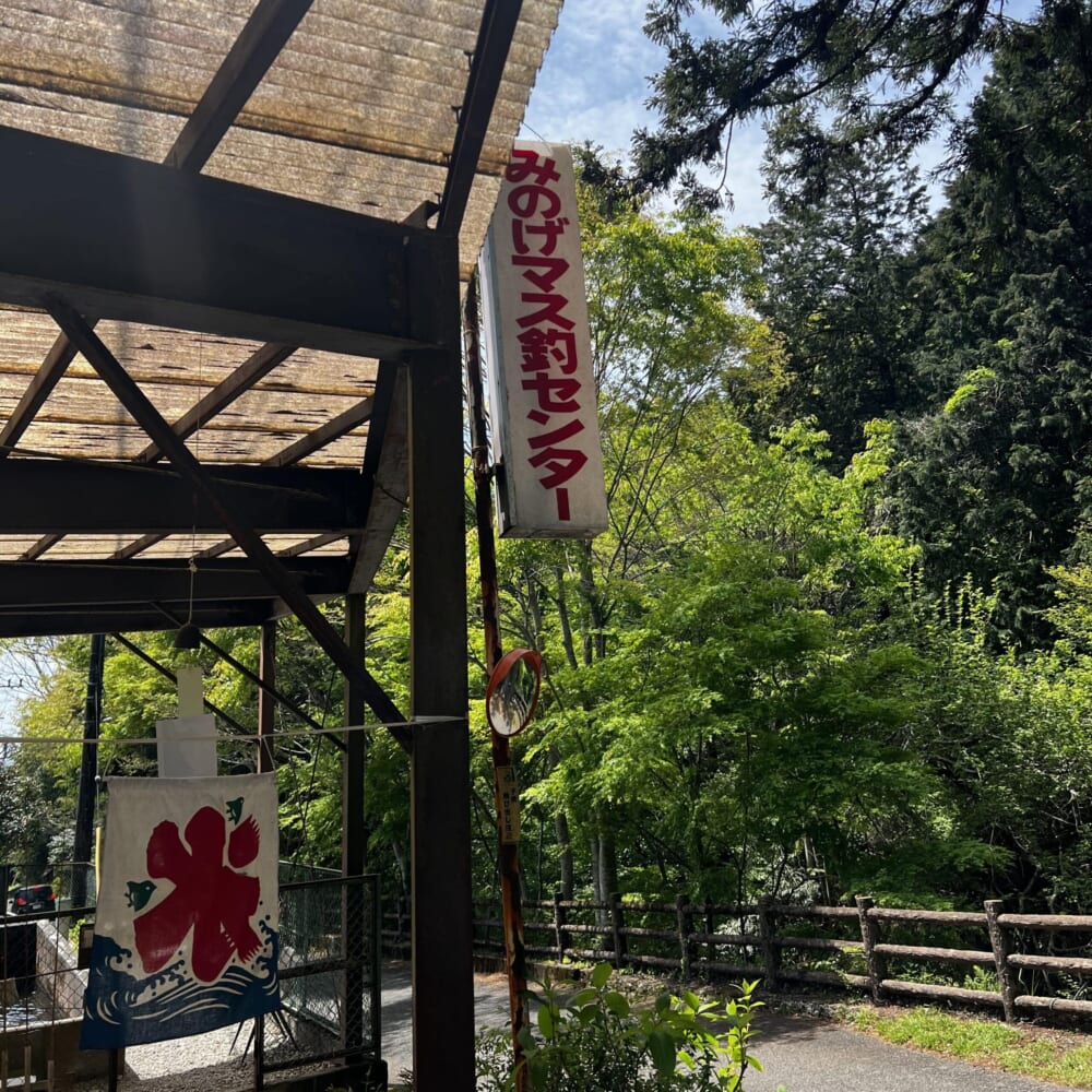 マス釣り　神奈川県秦野市　