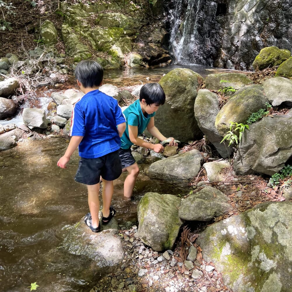 マス釣り　神奈川県秦野市　掴み取り