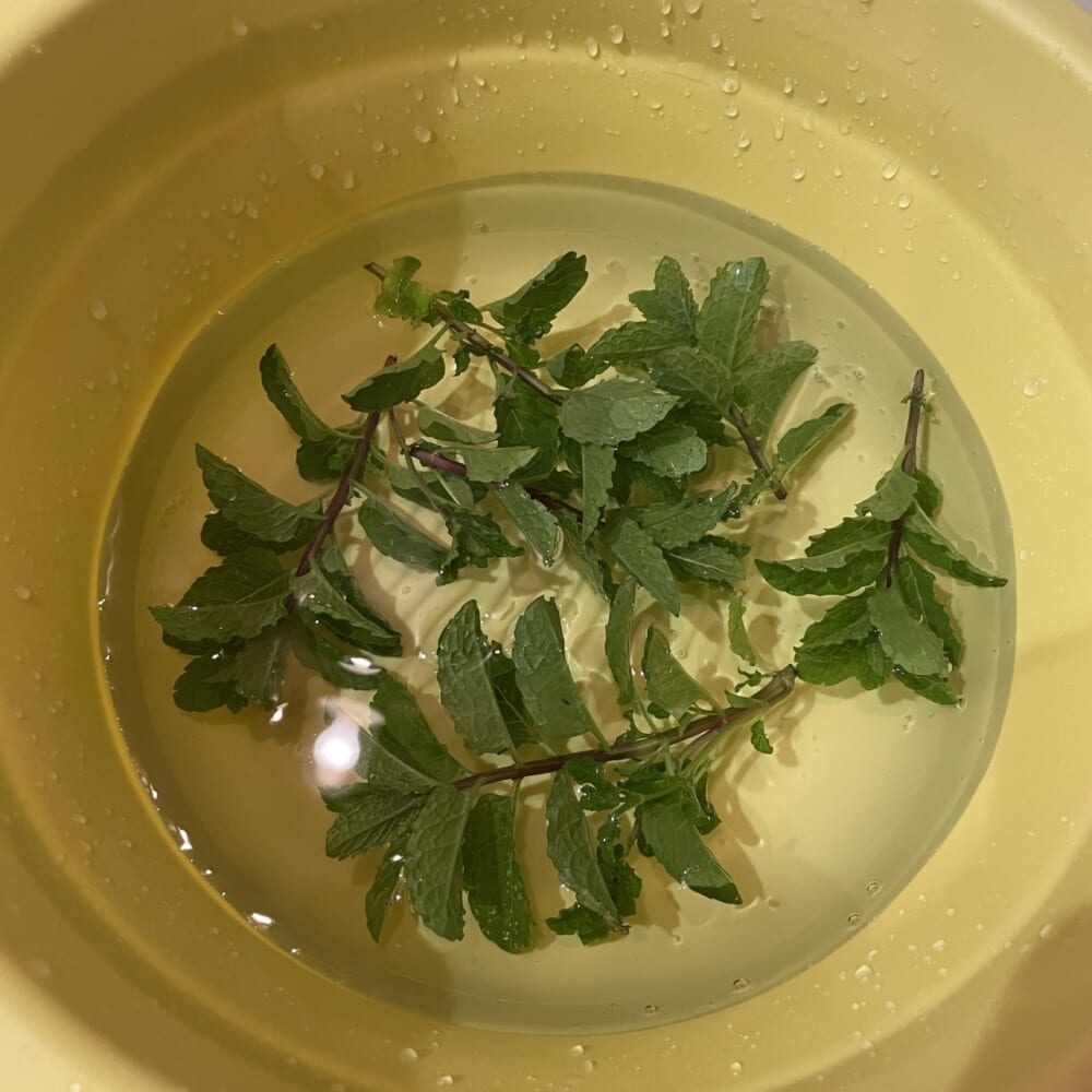 ミント風呂準備