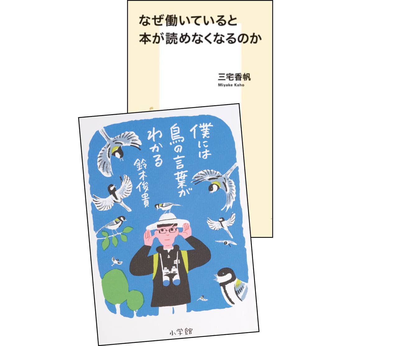 今、ノンフィクションが熱い！三宅香帆さん・鈴木俊貴さん書籍