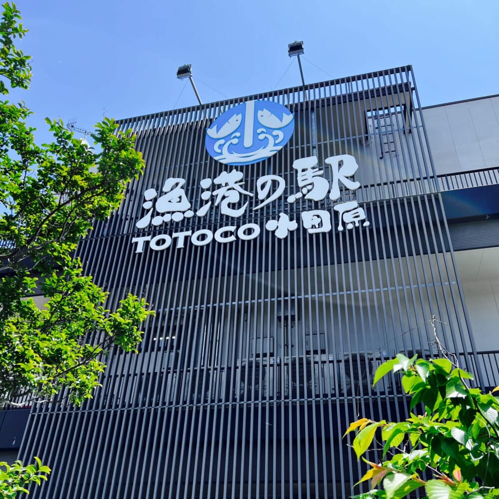 2026GW 早川 漁港の駅 TOTOCO小田原