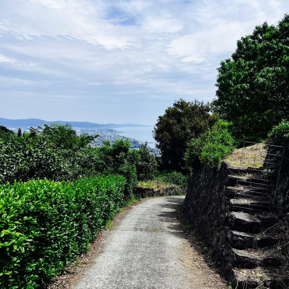 2026GW 小田原石垣山一夜城 早川