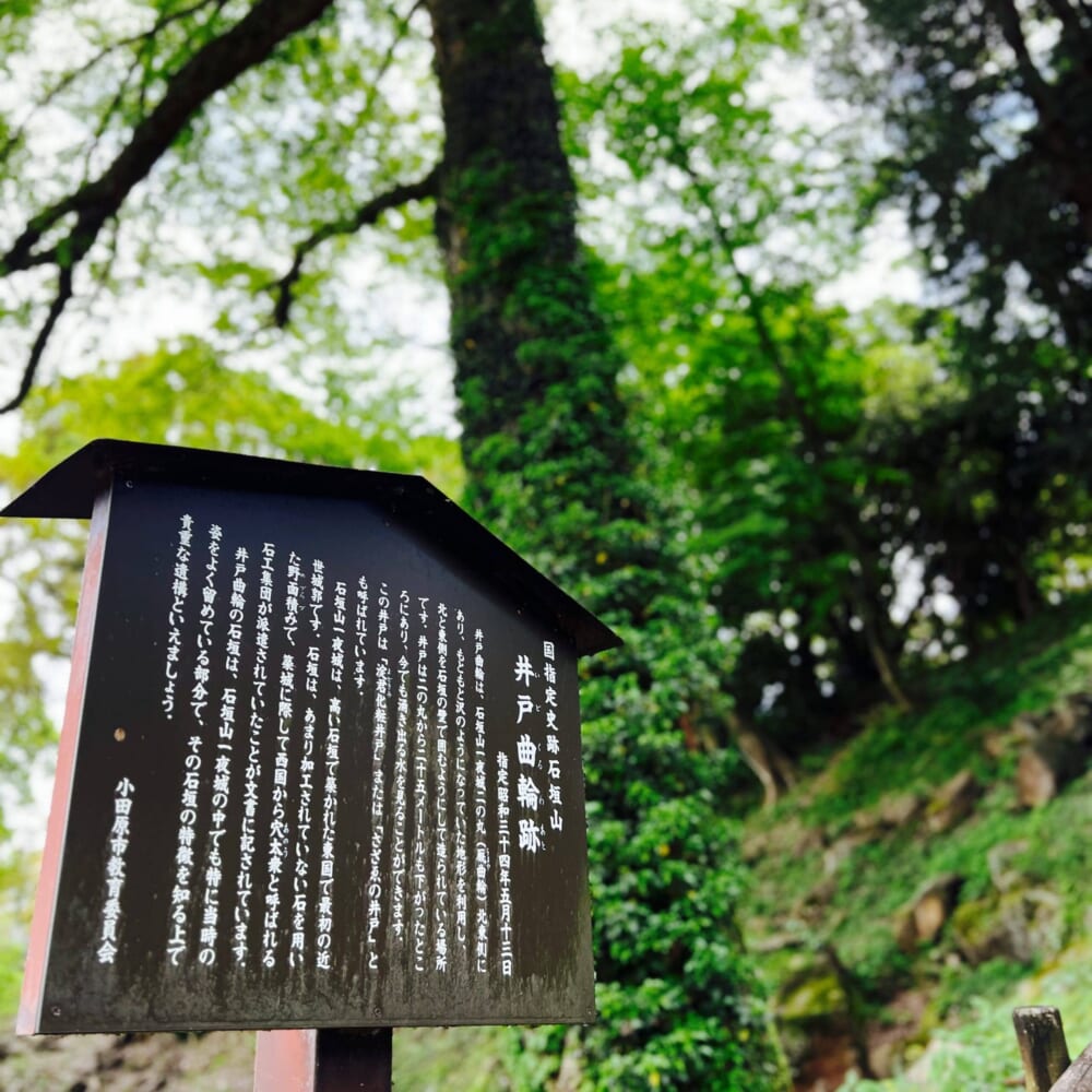 2026GW 小田原石垣山一夜城 早川