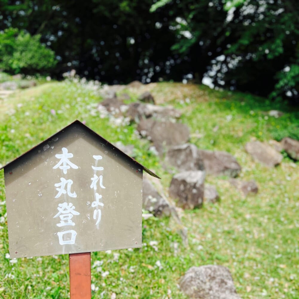 2026GW 小田原石垣山一夜城 早川