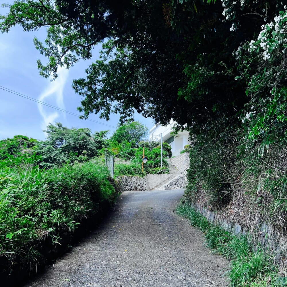 2026GW 小田原石垣山一夜城 早川