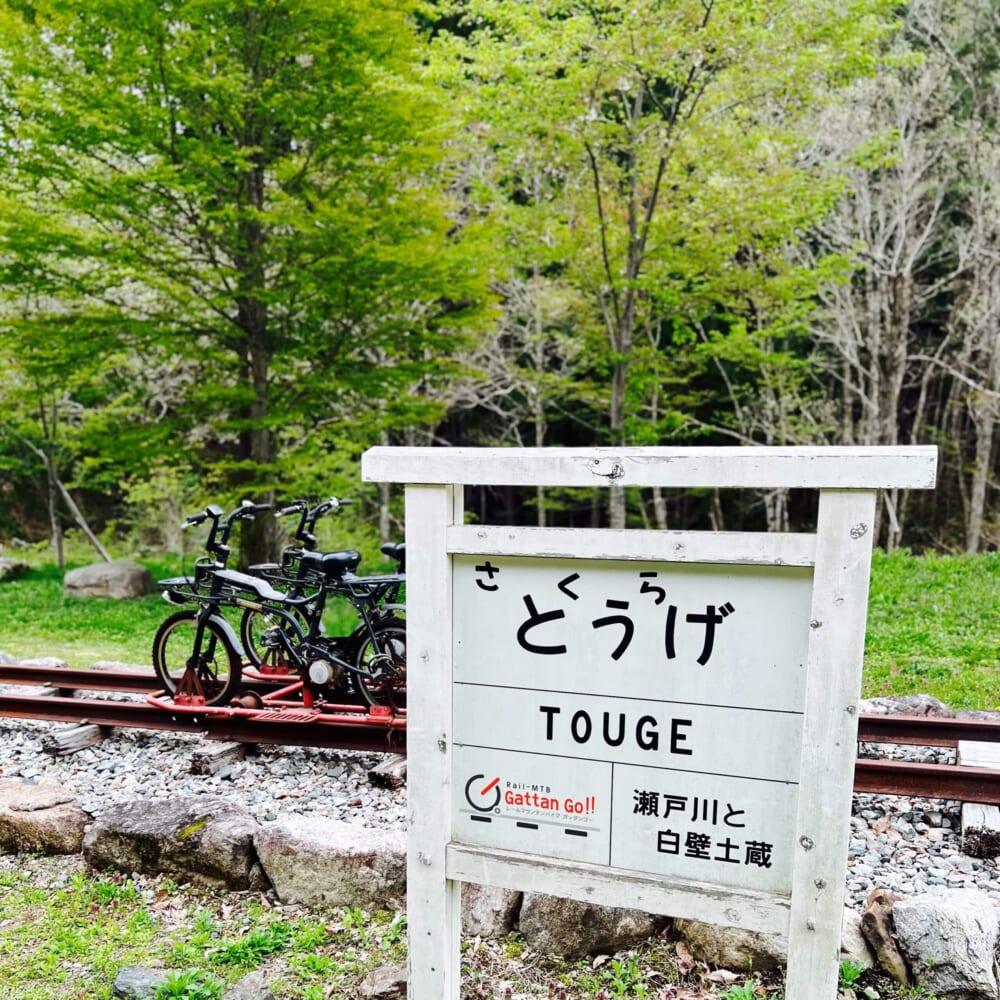 飛騨高山 レールマウンテンバイク「Gattan Go!!」 旧神岡鉄道 飛騨市神岡町
